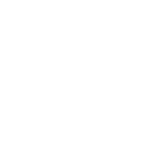 Pacific Park Logo